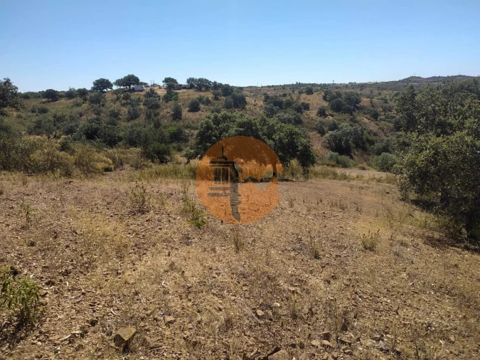 Terreno para Venda em Azinhal Foto 4