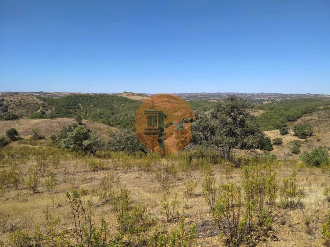 Terreno para Venda em Azinhal Foto 16