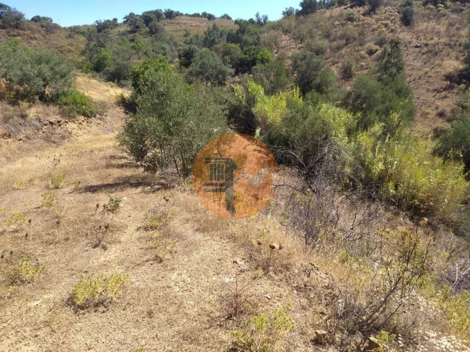 Terreno para Venda em Azinhal Foto 20
