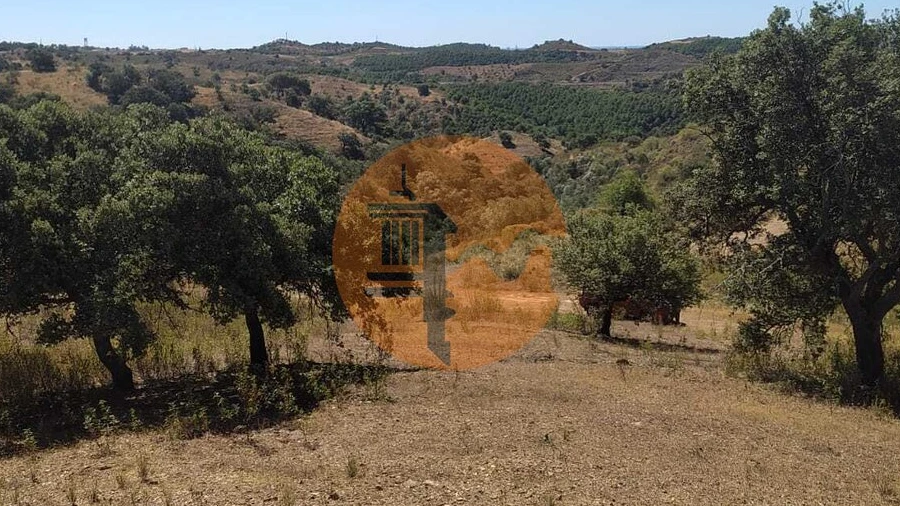 Terreno para Venda em Azinhal