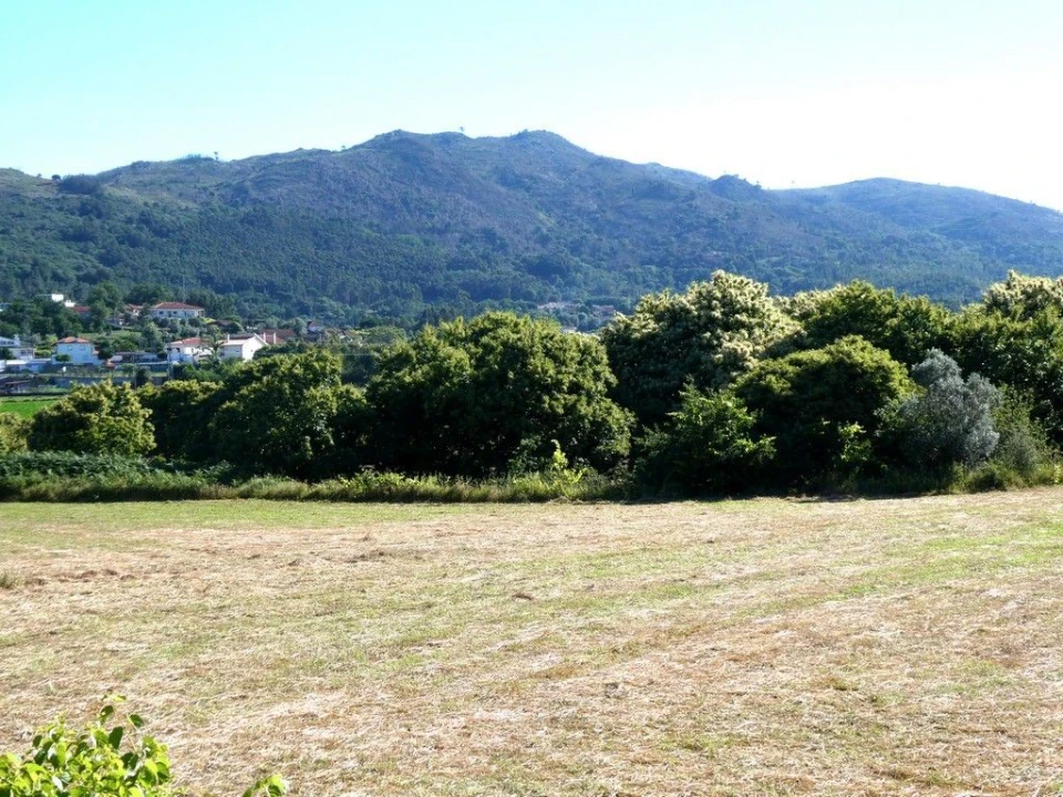 Terreno P/ Prédio para Venda em Navió e Vitorino dos Piães Foto 2