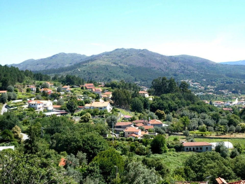 Terreno P/ Prédio para Venda em Navió e Vitorino dos Piães Foto 3