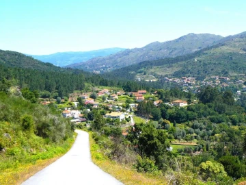 Terreno P/ Prédio para Venda em Navió e Vitorino dos Piães