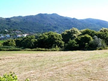 Terreno P/ Prédio para Venda em Navió e Vitorino dos Piães
