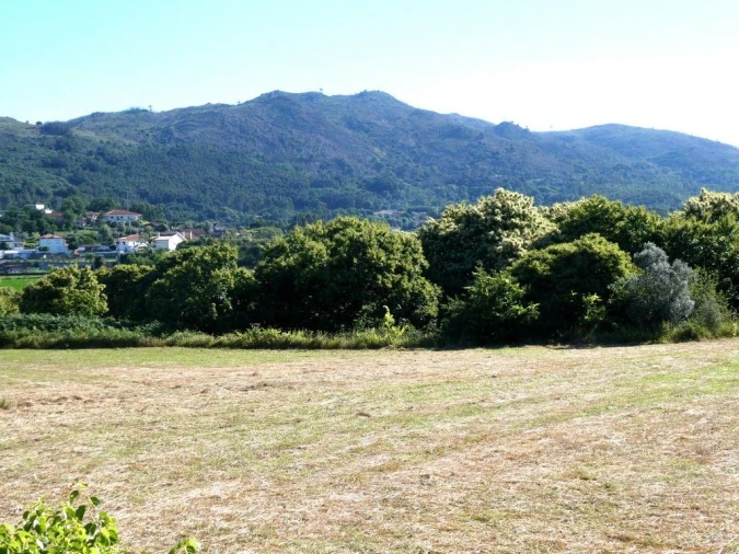 Terreno P/ Prédio para Venda em Navió e Vitorino dos Piães Foto 2