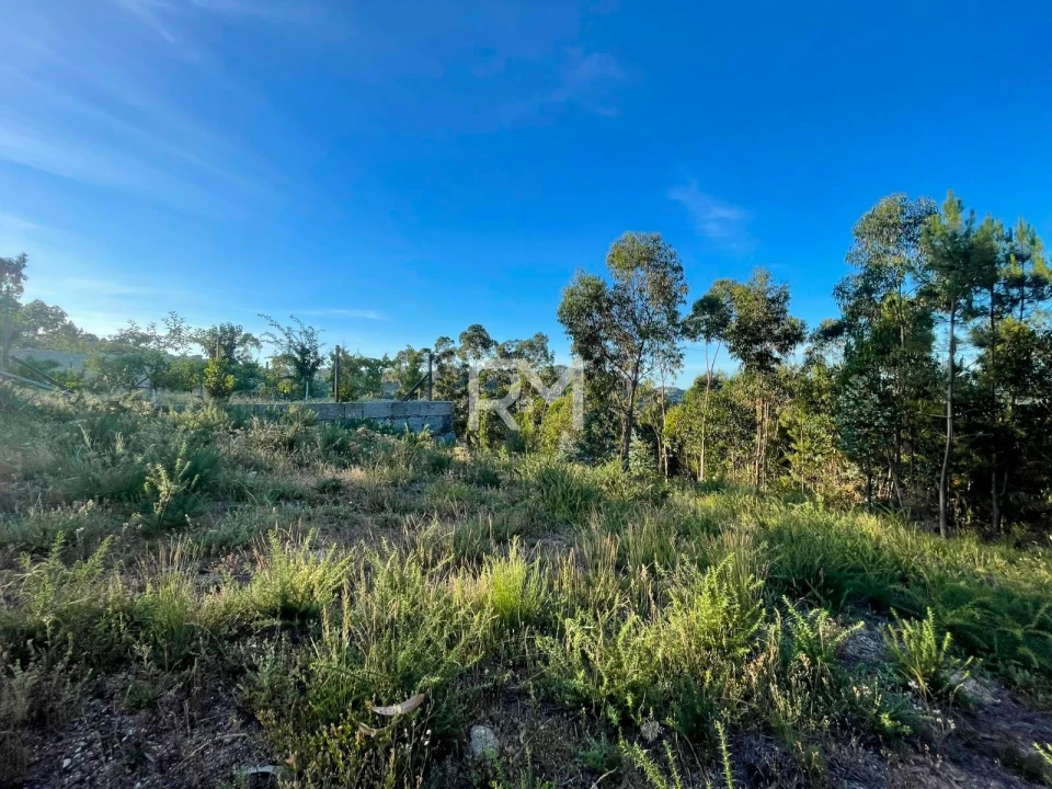 Terreno Agricola ou Rústico para Venda em Recezinhos (São Martinho) Foto 7