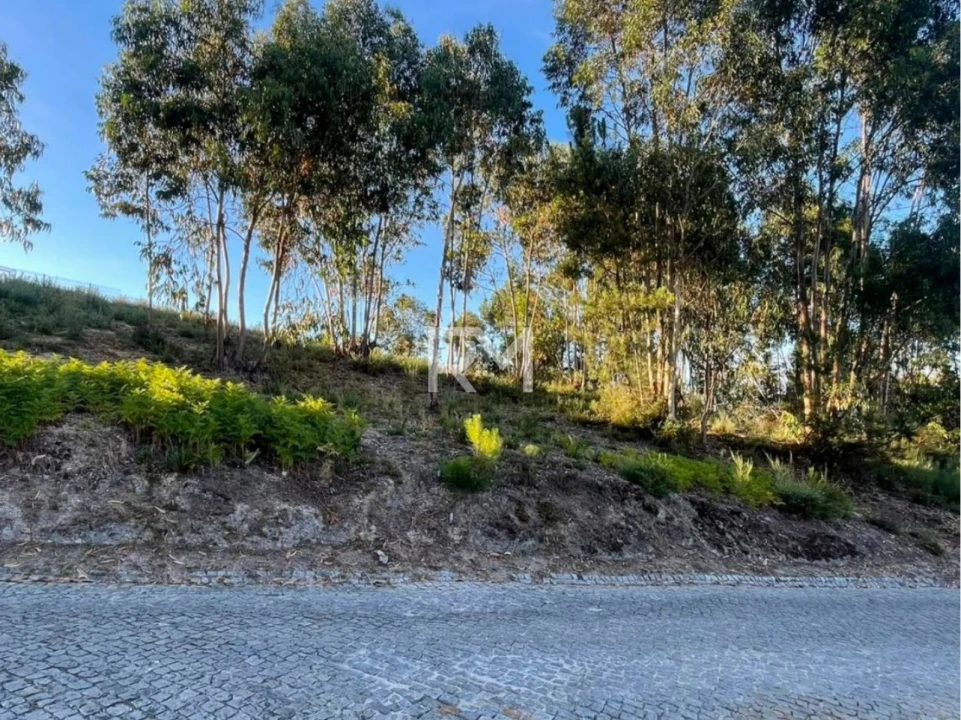 Terreno Agricola ou Rústico para Venda em Recezinhos (São Martinho) Foto 11