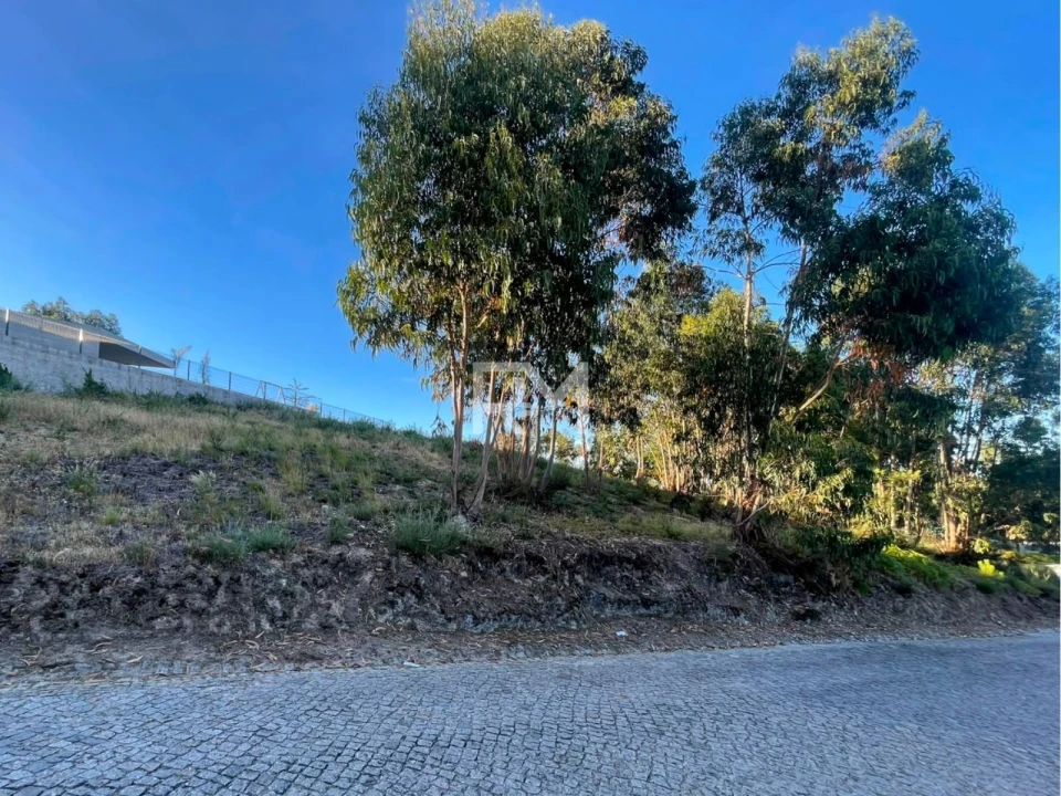 Terreno Agricola ou Rústico para Venda em Recezinhos (São Martinho) Foto 12