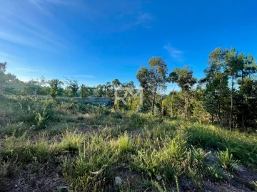 Terreno Agricola ou Rústico para Venda em Recezinhos (São Martinho)