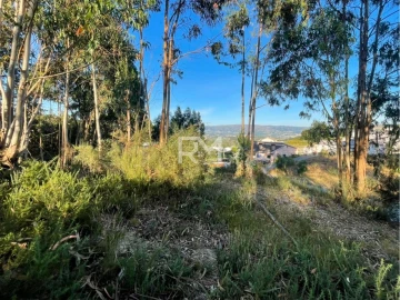 Terreno Agricola ou Rústico para Venda em Recezinhos (São Martinho)
