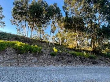 Terreno Agricola ou Rústico para Venda em Recezinhos (São Martinho)
