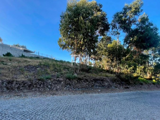 Terreno Agricola ou Rústico para Venda em Recezinhos (São Martinho) Foto 14
