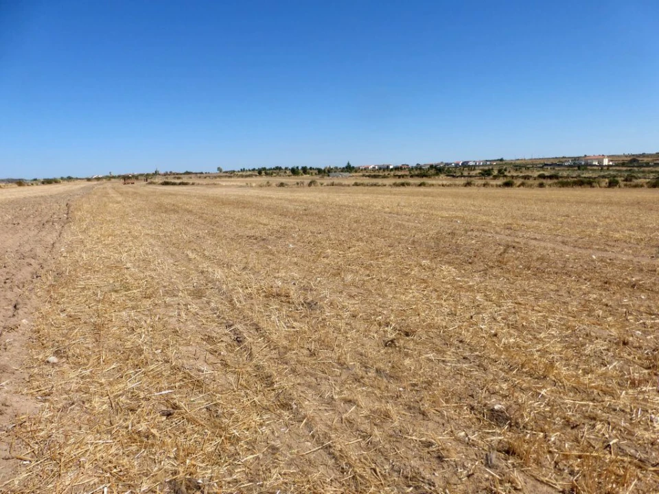 Terreno Agricola ou Rústico para Venda em Figueira de Castelo Rodrigo Foto 2