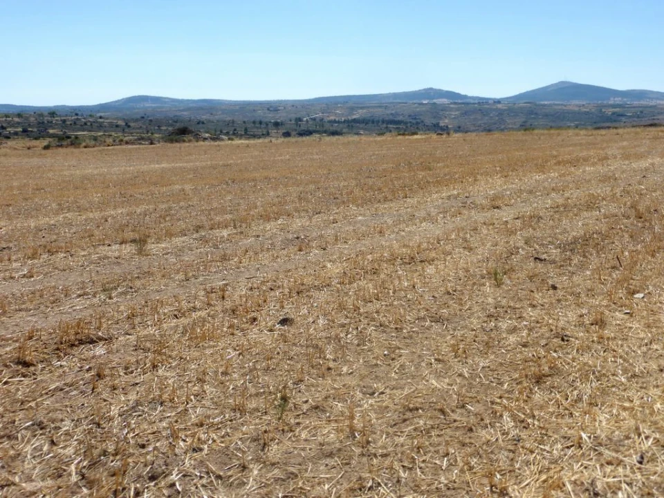 Terreno Agricola ou Rústico para Venda em Figueira de Castelo Rodrigo Foto 5