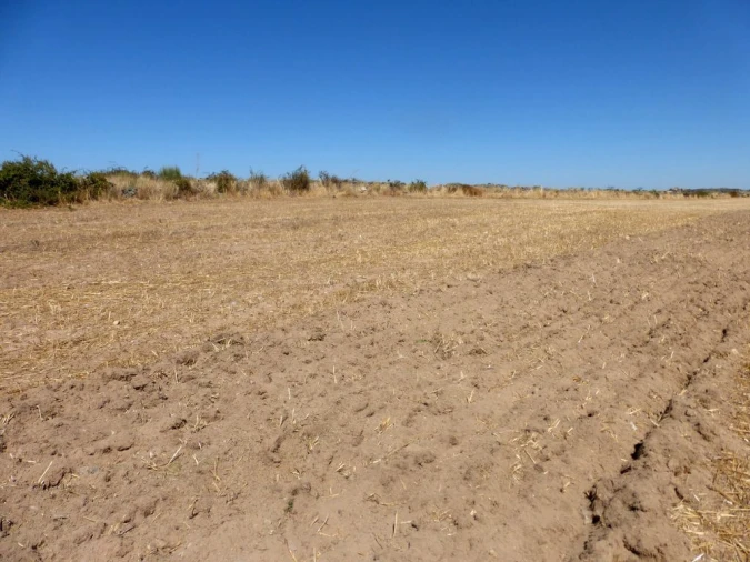 Terreno Agricola ou Rústico para Venda em Figueira de Castelo Rodrigo Foto 3