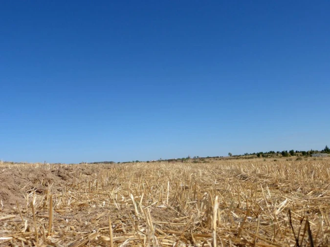 Terreno Agricola ou Rústico para Venda em Figueira de Castelo Rodrigo Foto 4