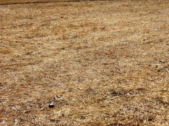 Terreno Agricola ou Rústico para Venda em Figueira de Castelo Rodrigo Foto 6