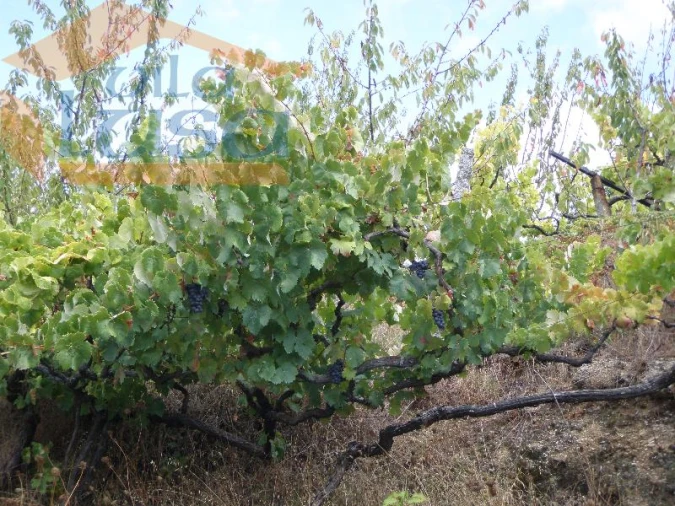 Quinta T6 para Venda em Resende Foto 1