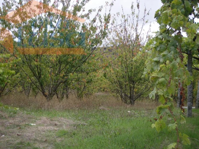 Quinta T6 para Venda em Resende Foto 9