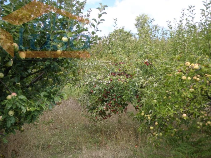 Quinta T6 para Venda em Resende Foto 14