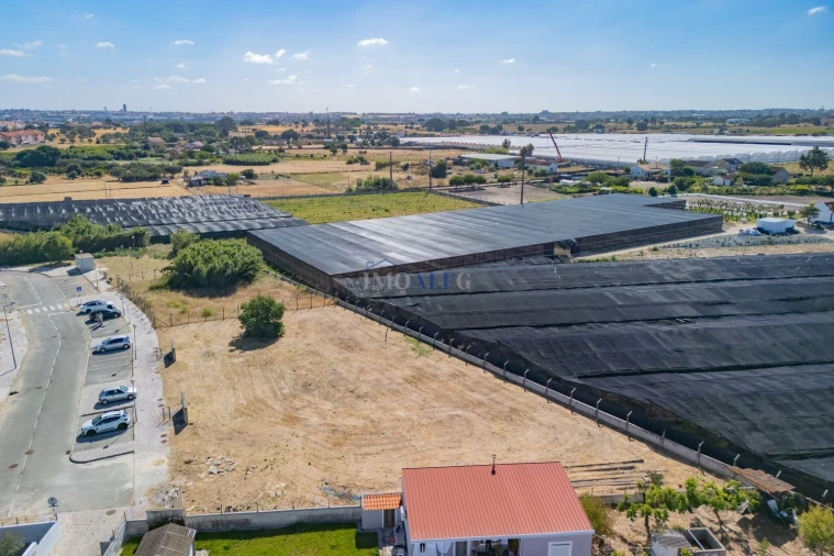 Terreno para Venda em Sarilhos Grandes Foto 3