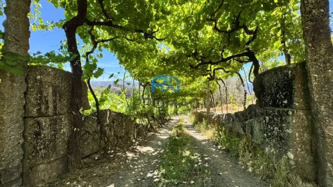 Moradia T3 para Venda em Santa Marinha do Zezere