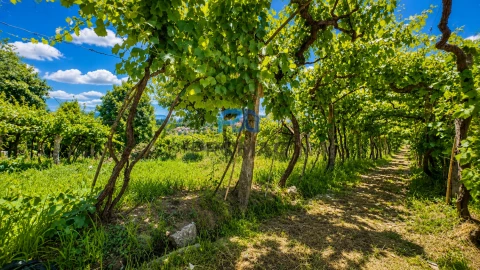 Moradia T3 para Venda em Santa Marinha do Zezere