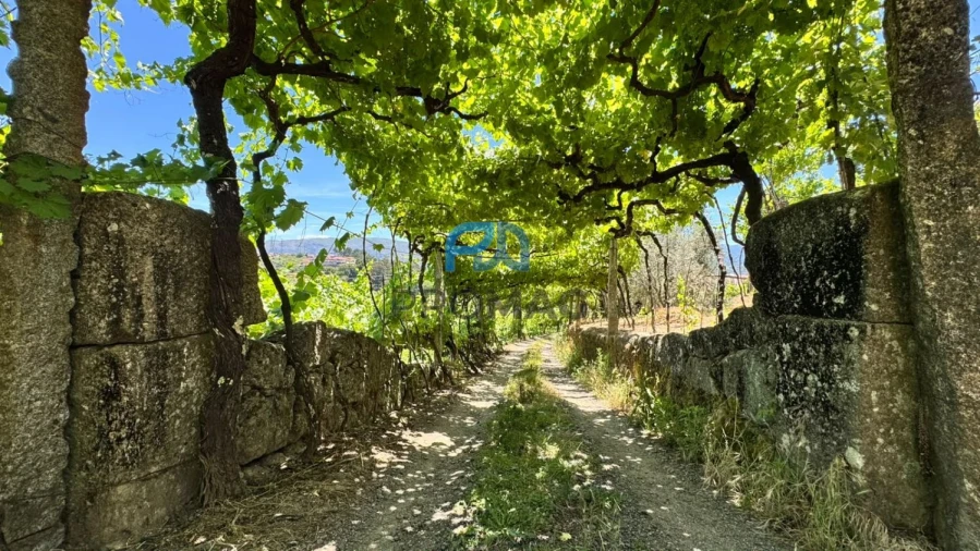 Moradia T3 para Venda em Santa Marinha do Zezere Foto 7