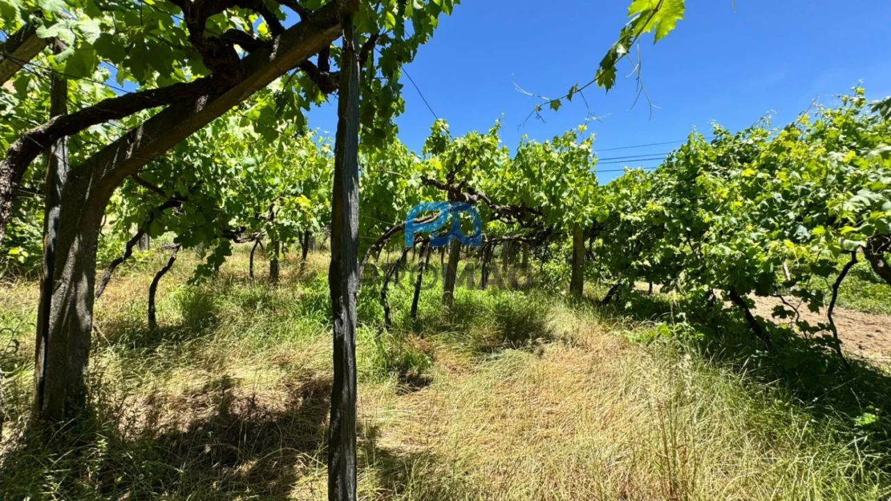 Moradia T3 para Venda em Santa Marinha do Zezere Foto 39