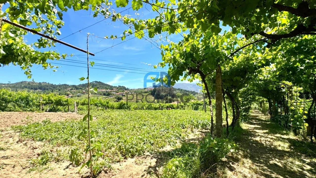 Moradia T3 para Venda em Santa Marinha do Zezere Foto 38