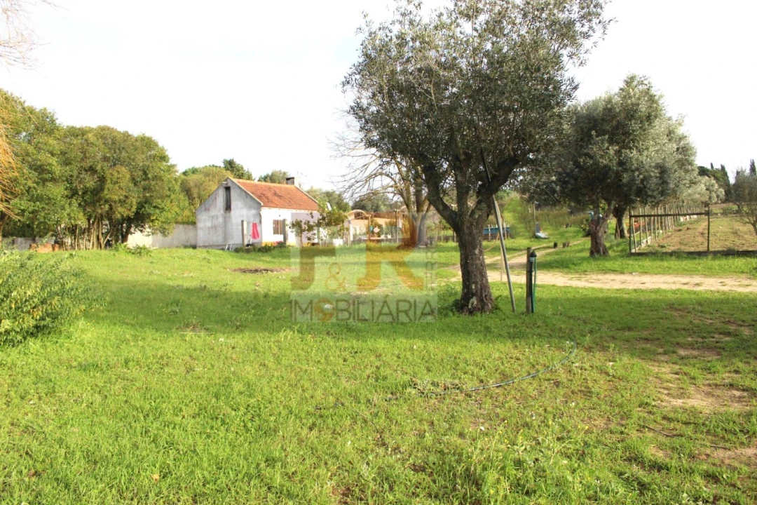 Quinta T2 para Venda em Azeitão (São Lourenço e São Simão) Foto 1