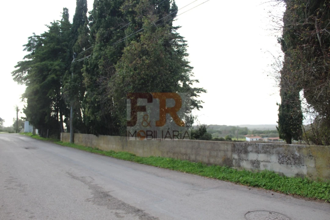 Quinta T2 para Venda em Azeitão (São Lourenço e São Simão) Foto 3