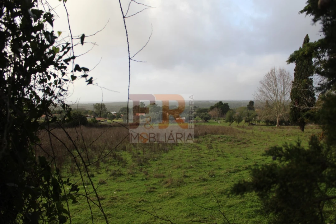 Quinta T2 para Venda em Azeitão (São Lourenço e São Simão) Foto 7