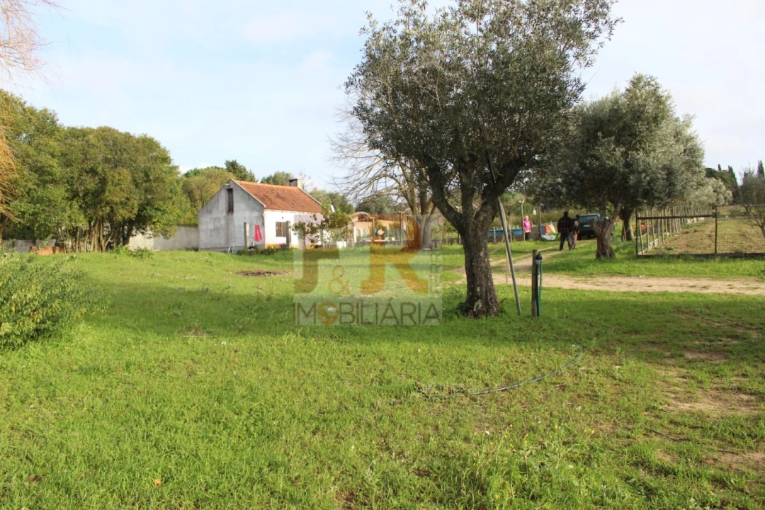 Quinta T2 para Venda em Azeitão (São Lourenço e São Simão) Foto 10
