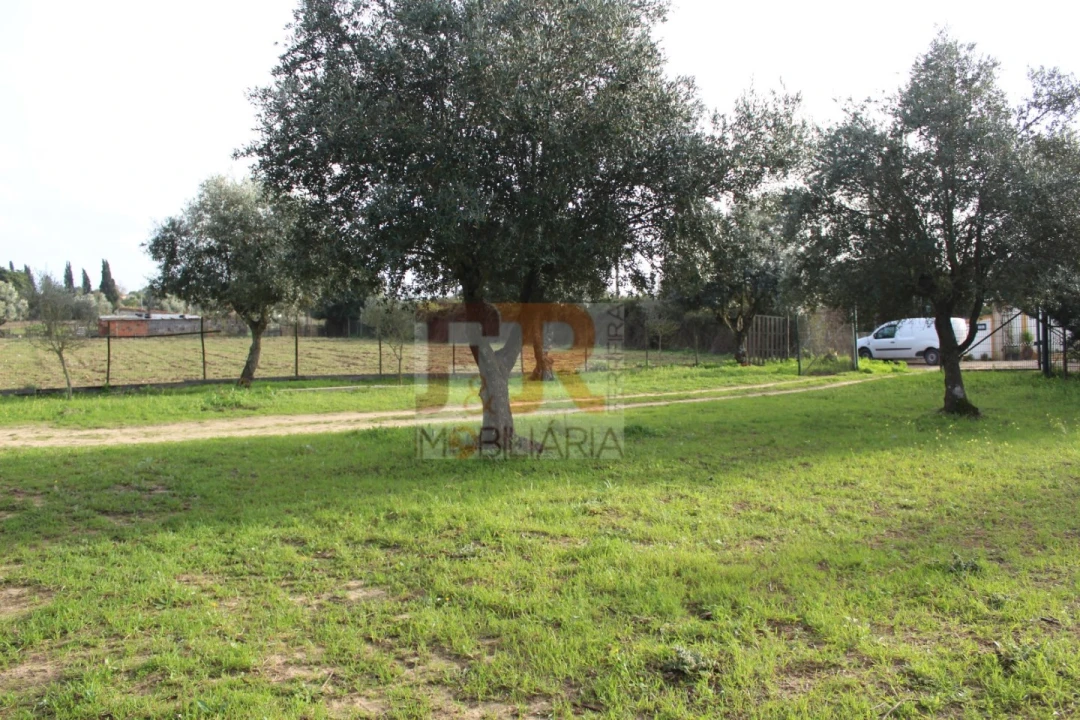 Quinta T2 para Venda em Azeitão (São Lourenço e São Simão) Foto 18
