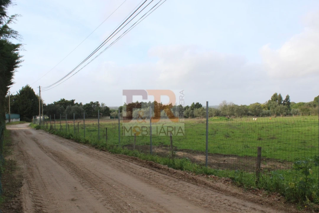 Quinta T2 para Venda em Azeitão (São Lourenço e São Simão) Foto 23