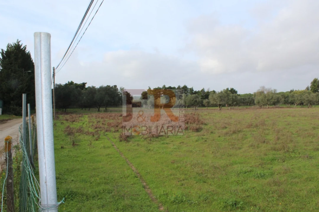 Quinta T2 para Venda em Azeitão (São Lourenço e São Simão) Foto 24