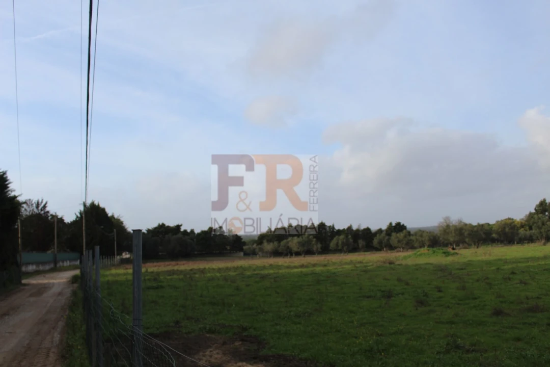 Quinta T2 para Venda em Azeitão (São Lourenço e São Simão) Foto 25