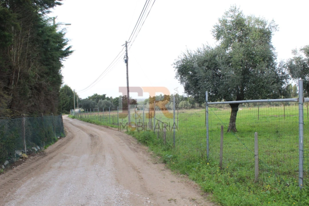 Quinta T2 para Venda em Azeitão (São Lourenço e São Simão) Foto 30