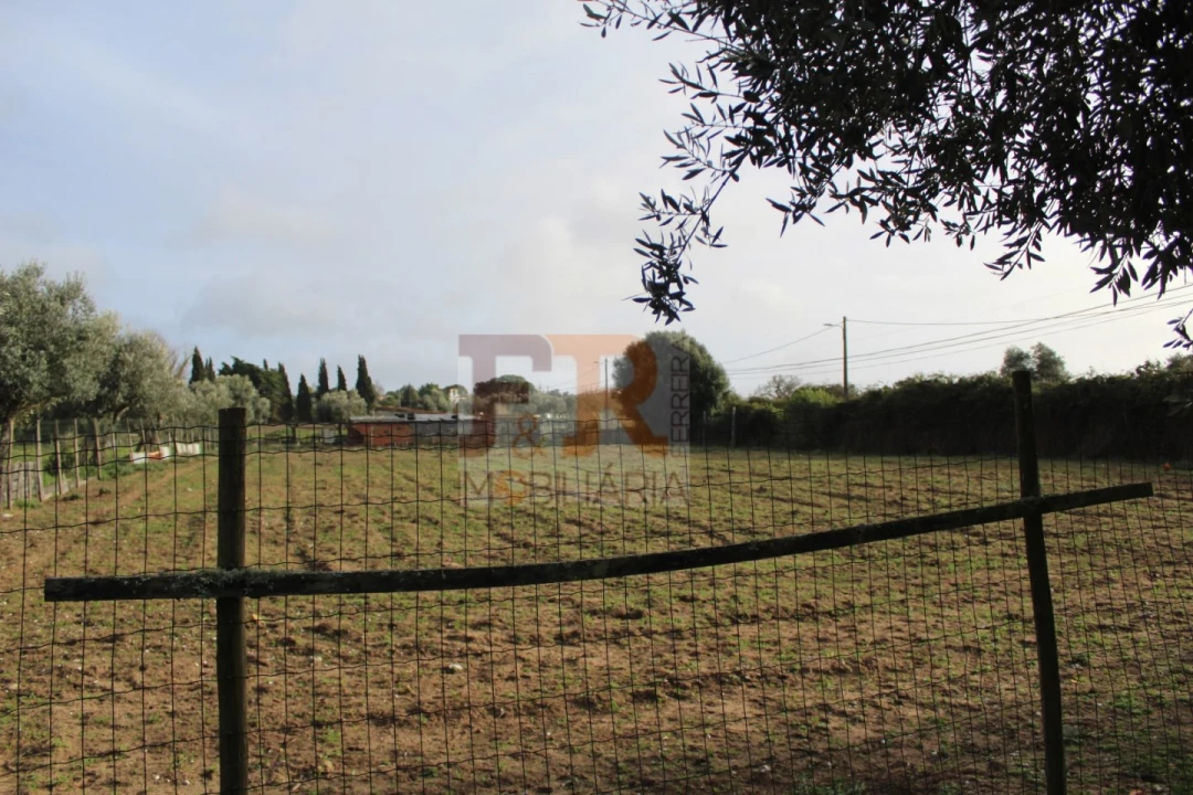 Quinta T2 para Venda em Azeitão (São Lourenço e São Simão) Foto 32