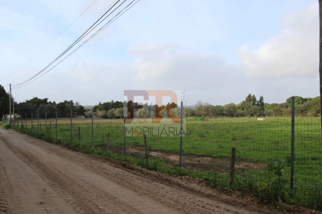 Quinta T2 para Venda em Azeitão (São Lourenço e São Simão) Foto 33