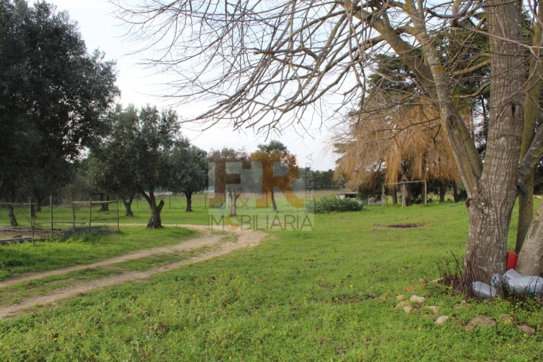 Quinta T2 para Venda em Azeitão (São Lourenço e São Simão) Foto 34