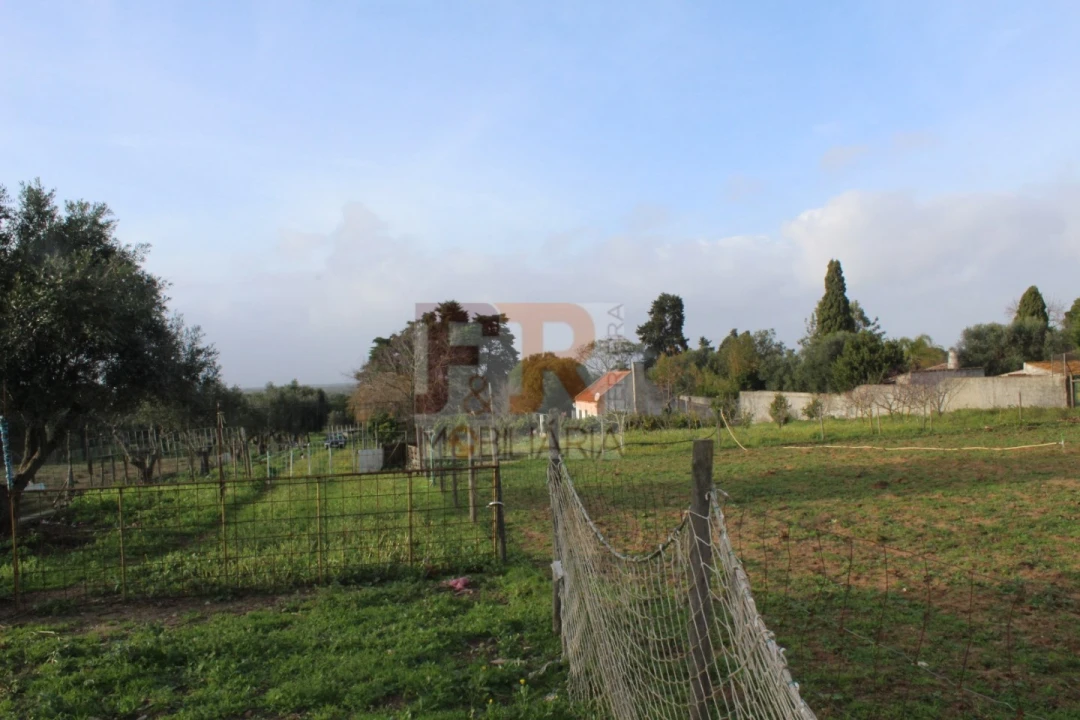 Quinta T2 para Venda em Azeitão (São Lourenço e São Simão) Foto 35