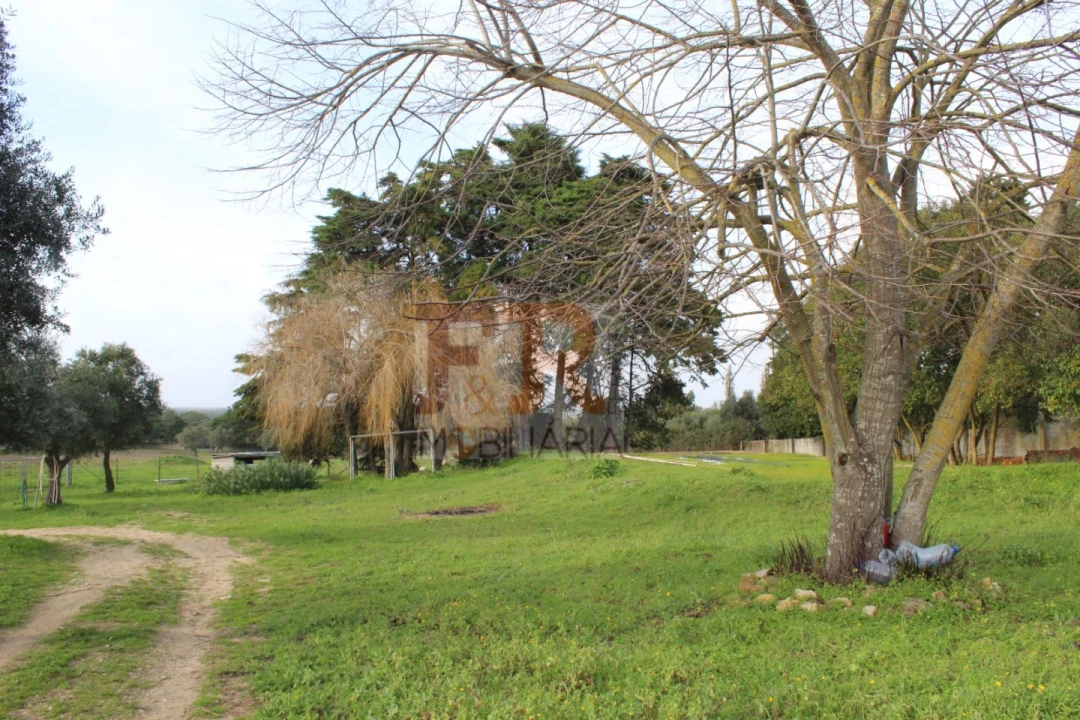 Quinta T2 para Venda em Azeitão (São Lourenço e São Simão) Foto 43