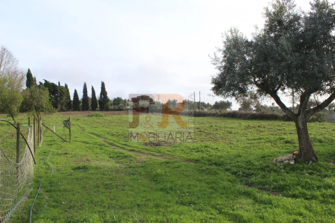 Quinta T2 para Venda em Azeitão (São Lourenço e São Simão) Foto 44