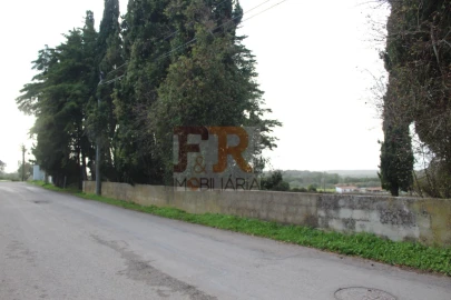 Quinta T2 para Venda em Azeitão (São Lourenço e São Simão)