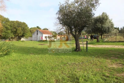 Quinta T2 para Venda em Azeitão (São Lourenço e São Simão)