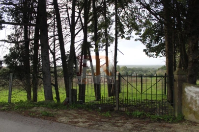 Quinta T2 para Venda em Azeitão (São Lourenço e São Simão)