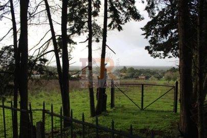 Quinta T2 para Venda em Azeitão (São Lourenço e São Simão)