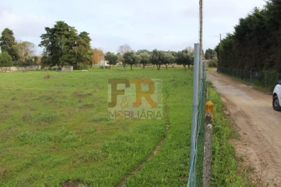 Quinta T2 para Venda em Azeitão (São Lourenço e São Simão)